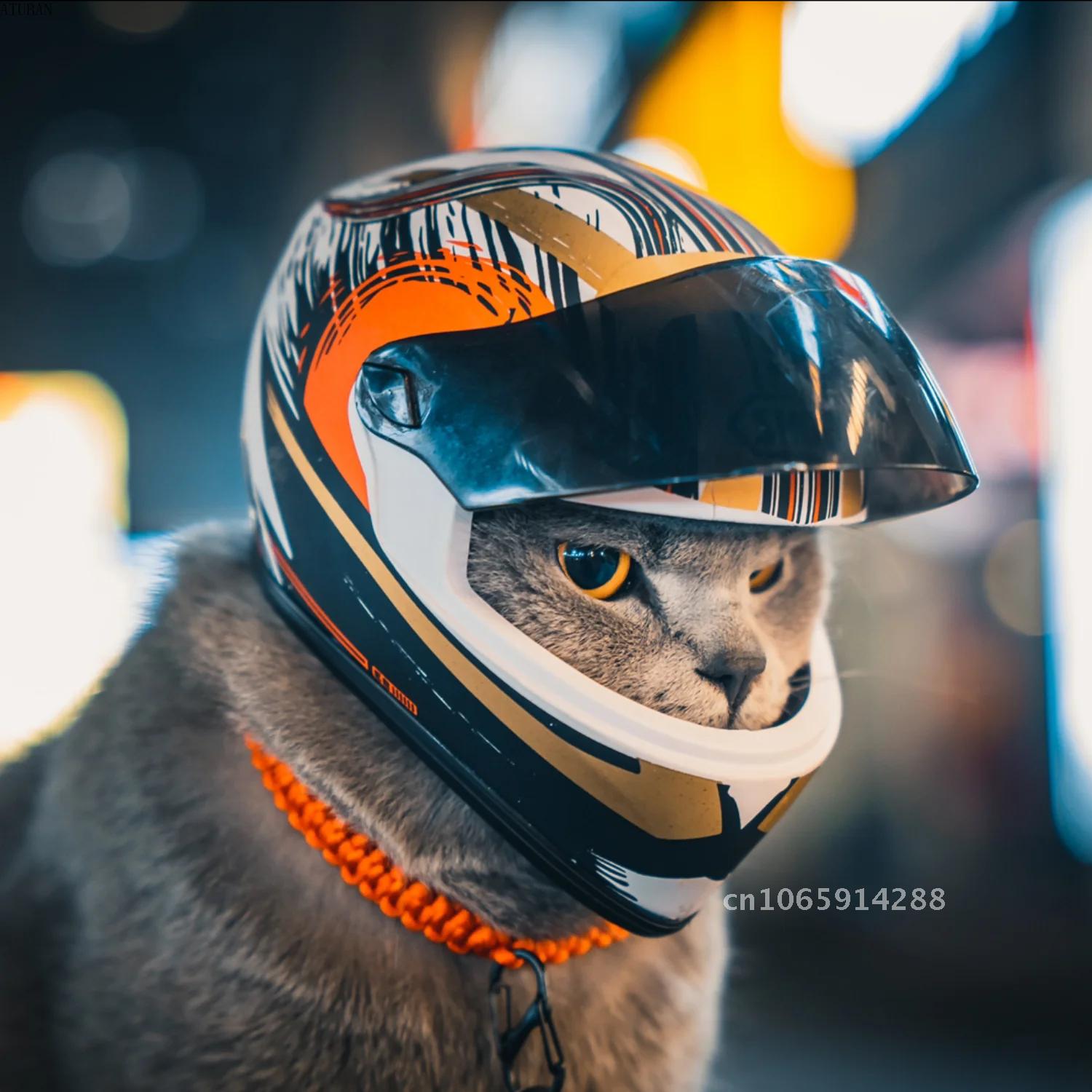 Motorcycle Gear Dogs - Cascos para mascotas con diseño fotográfico,