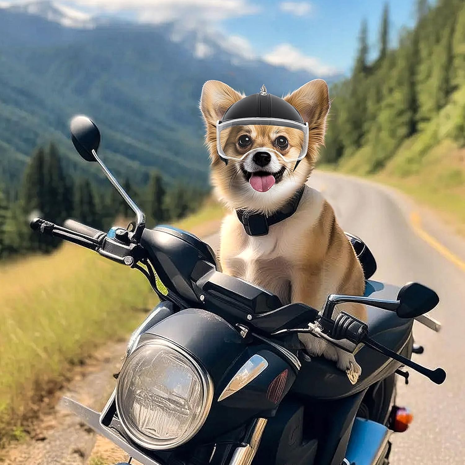 Motorcycle Gear Dogs - Casco para Perros Pequeños, Casco de