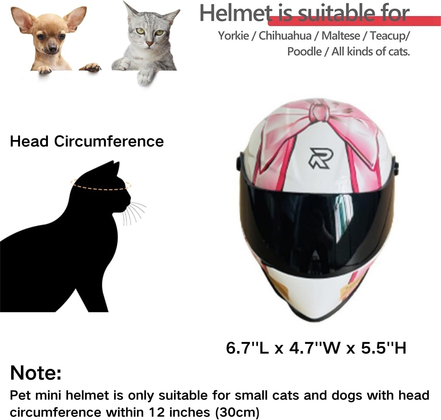 Casco de Motocicleta para Gato - Motorcycle Gear Dogs reseña y precio