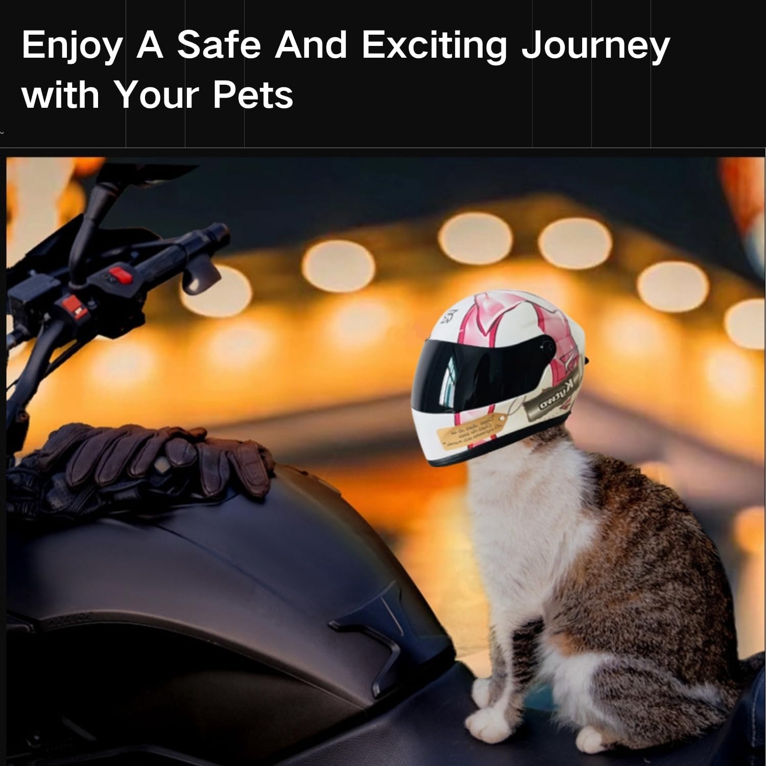 Casco de Motocicleta para Gato - Motorcycle Gear Dogs reseña y precio