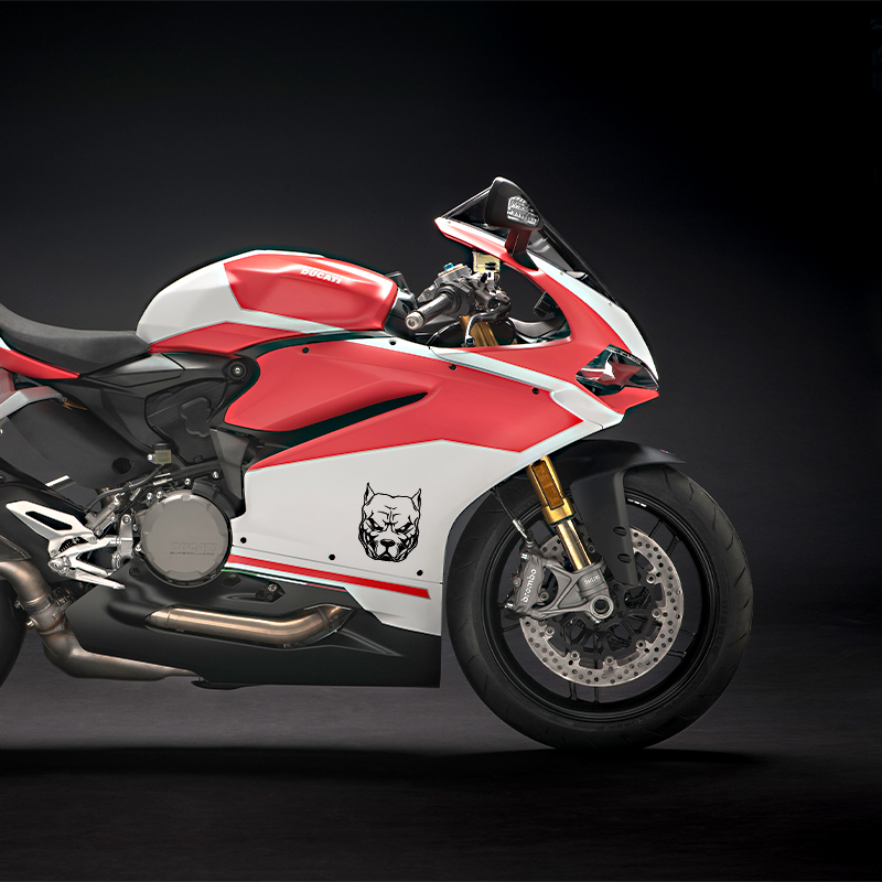 Pegatina de motocicleta con di - Motorcycle Gear Dogs reseña y precio