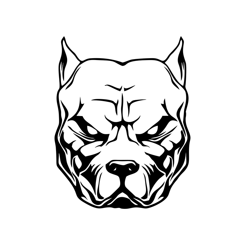 Pegatina de motocicleta con di - Motorcycle Gear Dogs reseña y precio