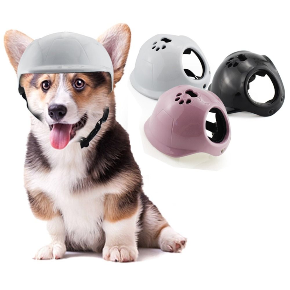 Cascos de plástico para perros - Motorcycle Gear Dogs reseña y precio