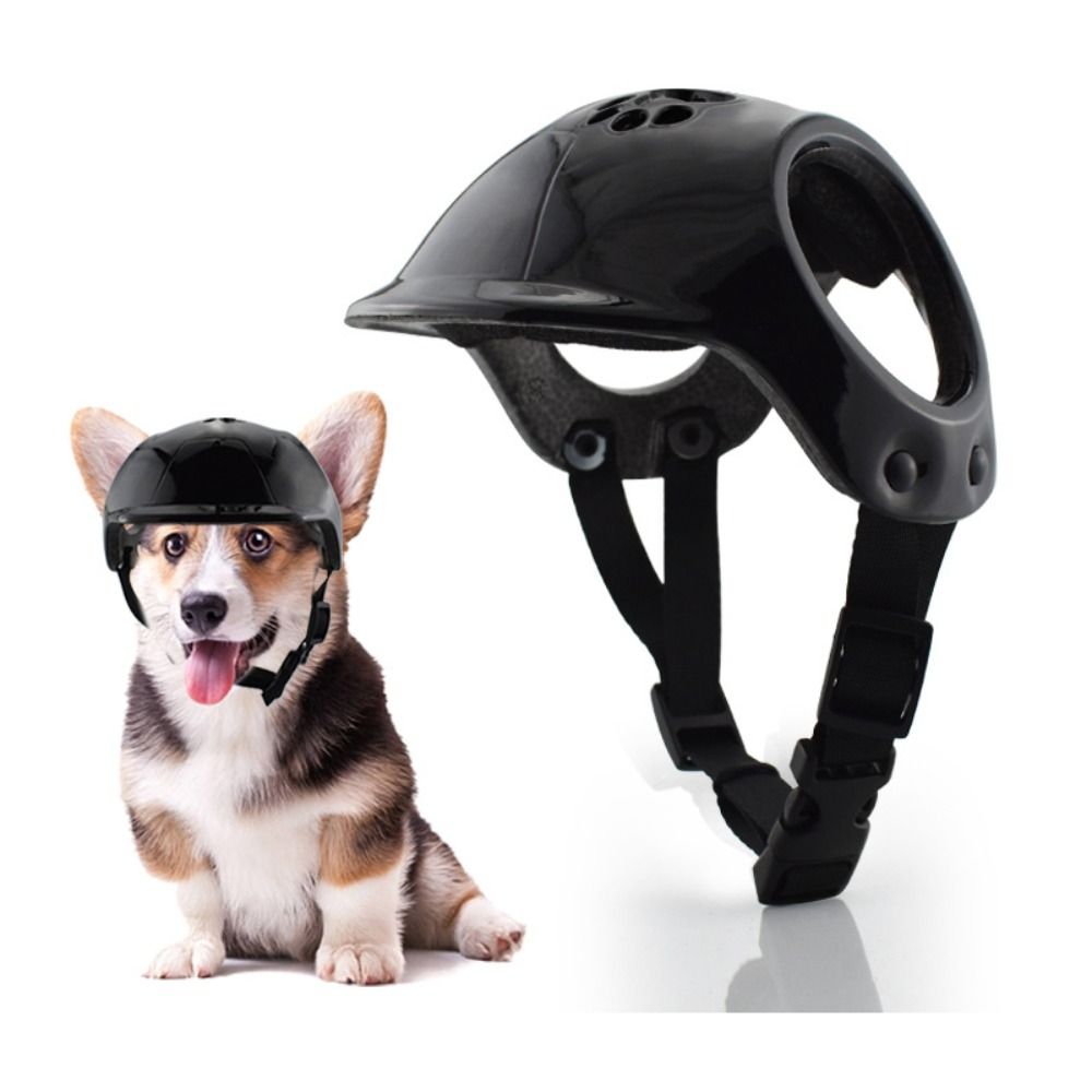 Cascos de plástico para perros - Motorcycle Gear Dogs reseña y precio