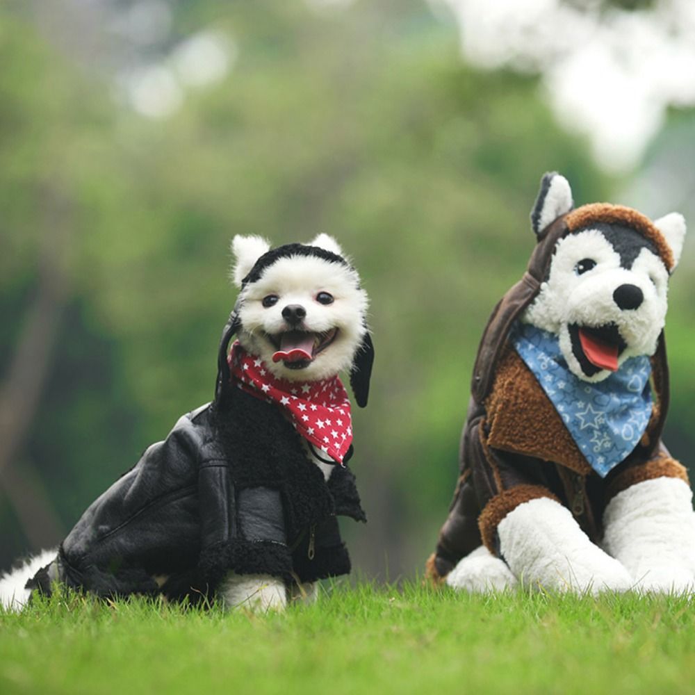 Abrigo cálido para perro, chaq - Motorcycle Gear Dogs reseña y precio
