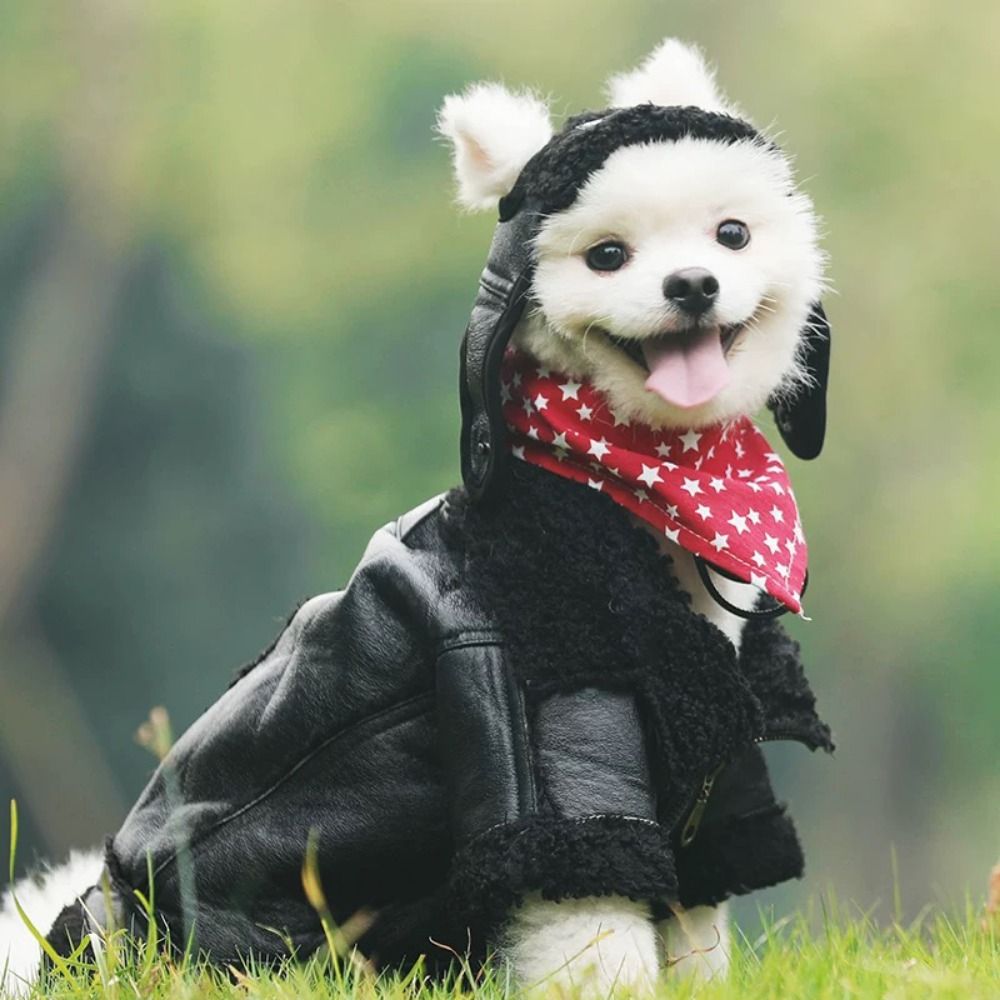Abrigo cálido para perro, chaq - Motorcycle Gear Dogs reseña y precio