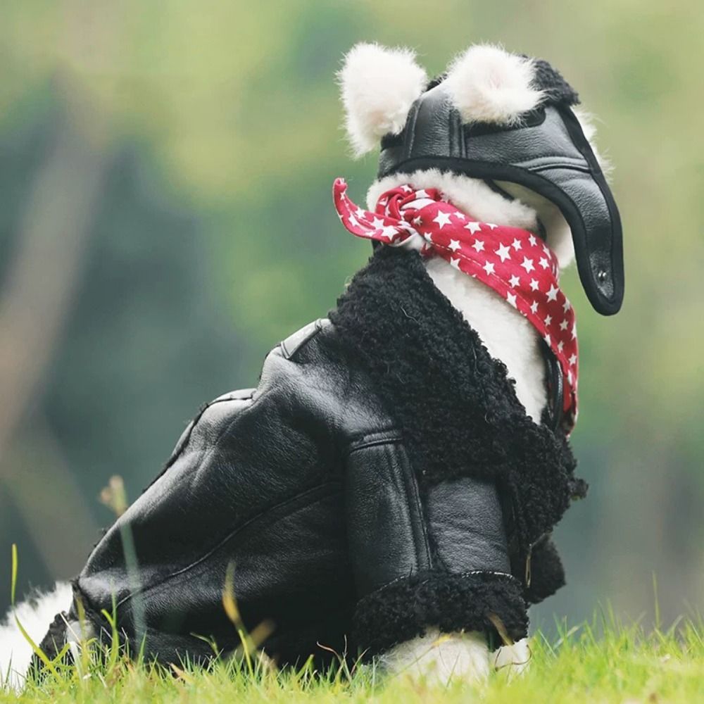 Abrigo cálido para perro, chaq - Motorcycle Gear Dogs reseña y precio