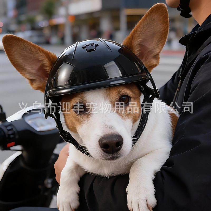Casco Rosa para Mascotas con O - Motorcycle Gear Dogs reseña y precio