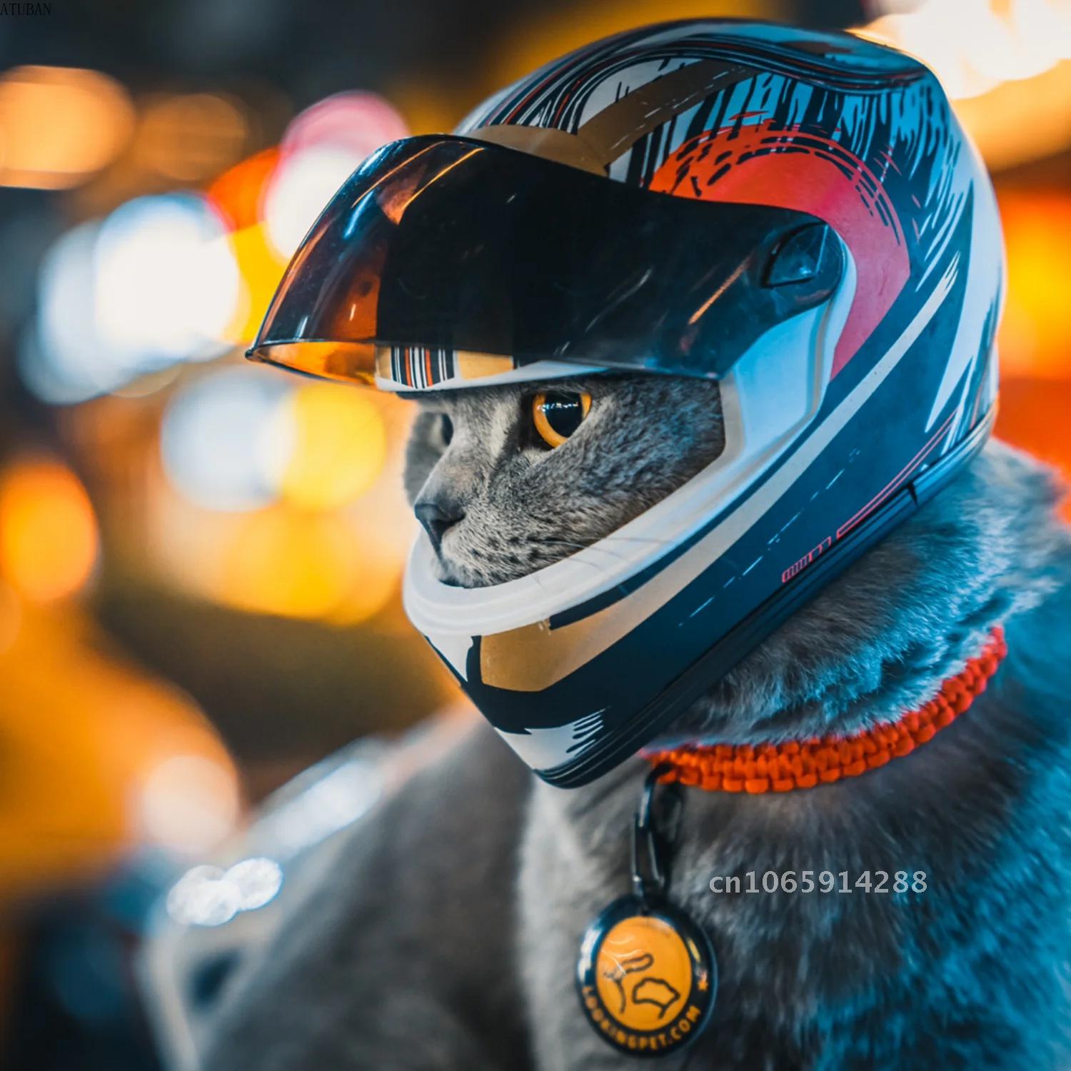 Cascos para mascotas con diseñ - Motorcycle Gear Dogs reseña y precio