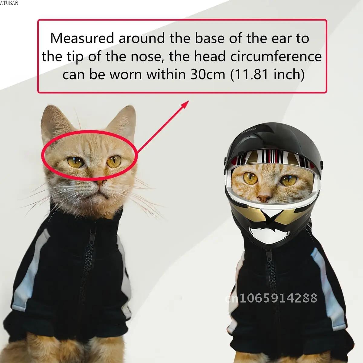 Cascos para mascotas con diseñ - Motorcycle Gear Dogs reseña y precio