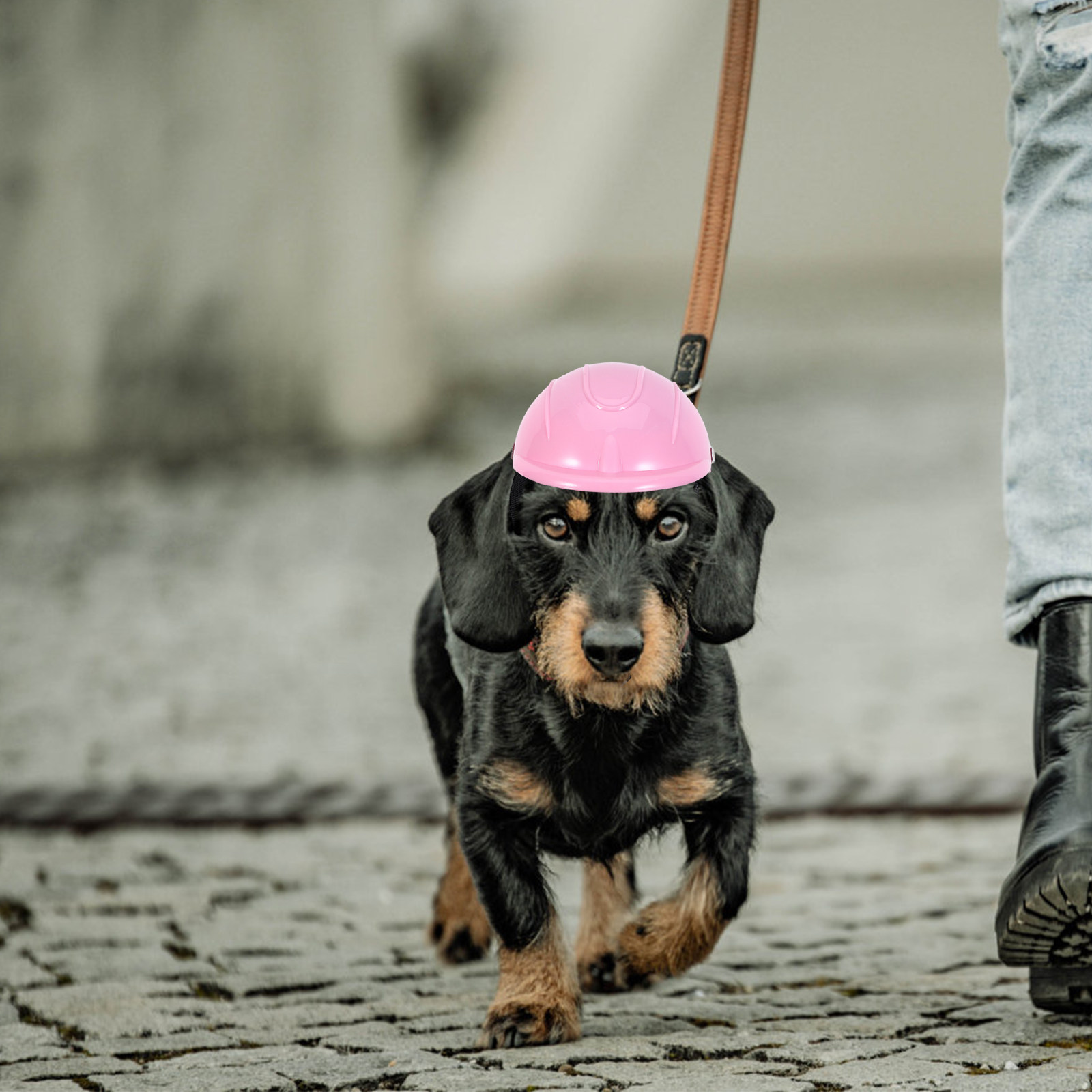 Casco Protector Ajustable para - Motorcycle Gear Dogs reseña y precio