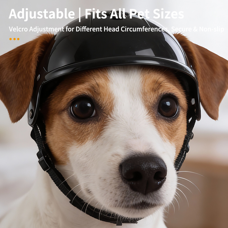 Casco para Mascotas con Diseño - Motorcycle Gear Dogs reseña y precio