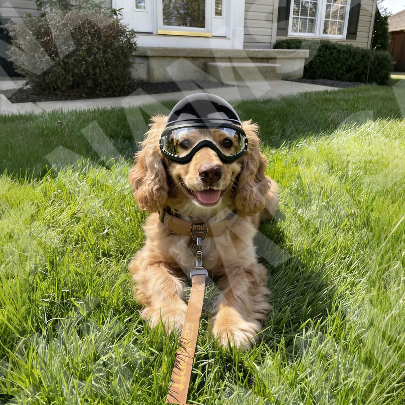 Gafas de Sol para Perros y Con - Motorcycle Gear Dogs reseña y precio